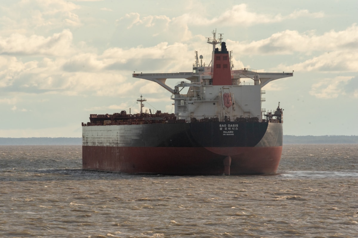 Dry bulk market outlook 2026